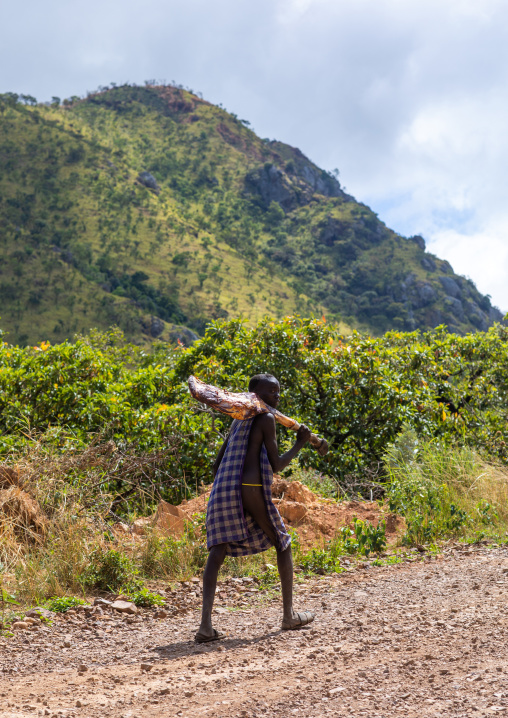 Suri man carrying meat on his shoulder, Omo valley, Kibish, Ethiopia