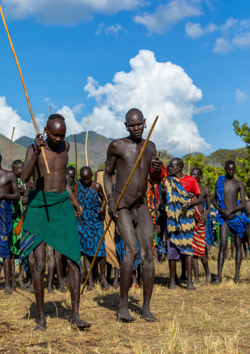 Suri tribe warriors parading before a donga stick fighting ritual, Omo valley, Kibish, Ethiopia