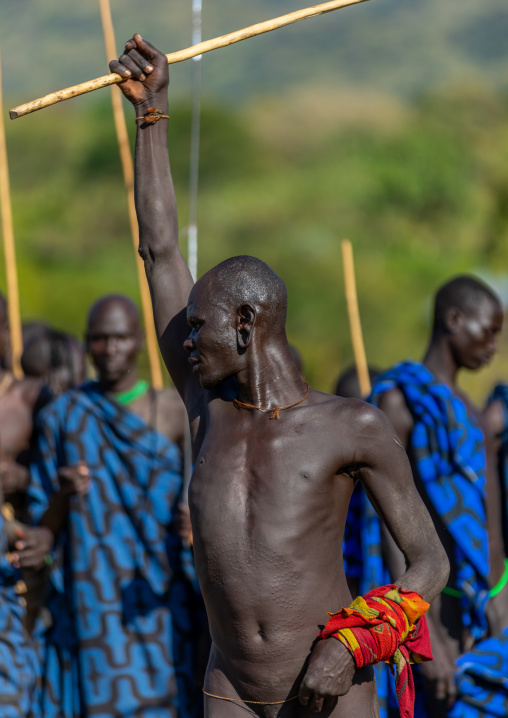 Suri tribe warrior parading during a donga stick fighting ritual, Omo valley, Kibish, Ethiopia