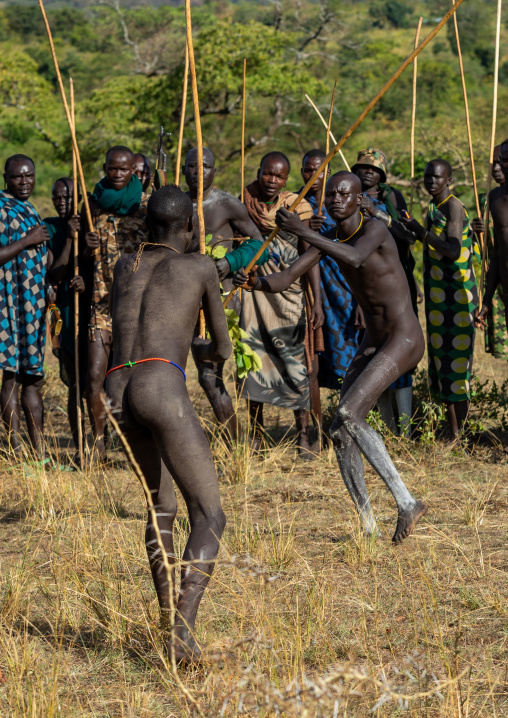Suri tribe warriors fighting during a donga stick ritual, Omo valley, Kibish, Ethiopia
