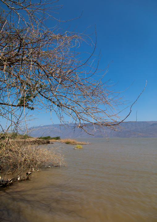 Afambo lake, Afar Region, Afambo, Ethiopia