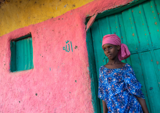 Portrait of an afar tribe girl, Afar Region, Afambo, Ethiopia