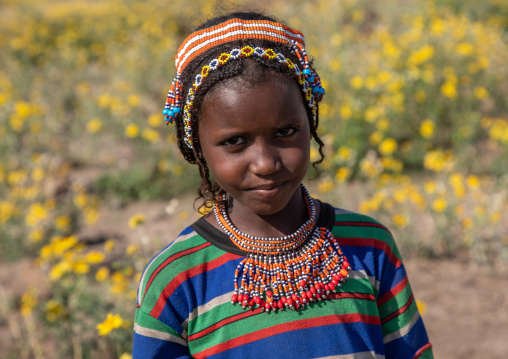 Portrait of an afar tribe girl with a beaded necklace, Afar region, Mileso, Ethiopia