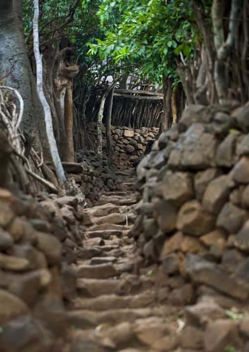 Security System, Fences In Konso Tribe's Village, Omo Valley, Ethiopia