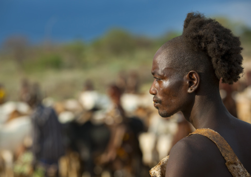 Hamar Jumper At Bull Jumping Ceremony, Turmi, Omo Valley, Ethiopia