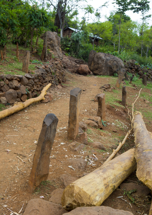 Pillars In A Konso Square, Omo Valley, Ethiopia