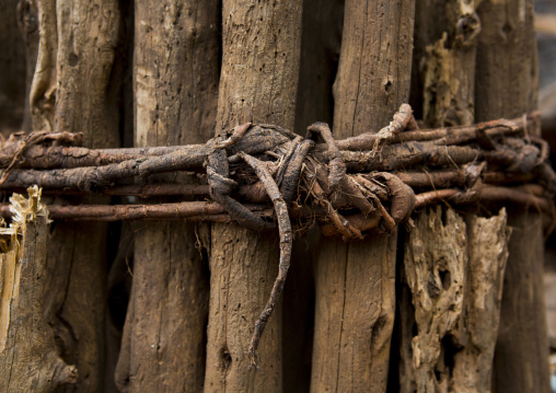 Generation Pole,  Konso Tribe, Omo Valley, Ethiopia