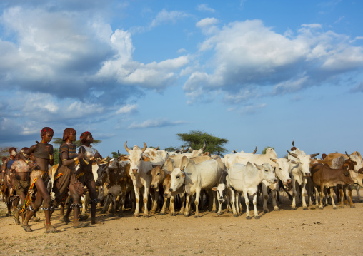 Hamer Tribe Women During Bull Jumping Ceremony, Turmi, Omo Valley, Ethiopia