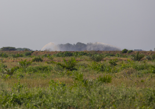 Omorate Irrigation In Fields, Omo Valley, Ethiopia