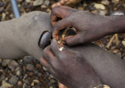 Bodi Tribe Preparing The Kael Ceremony, Hana Mursi, Omo Valley, Ethiopia