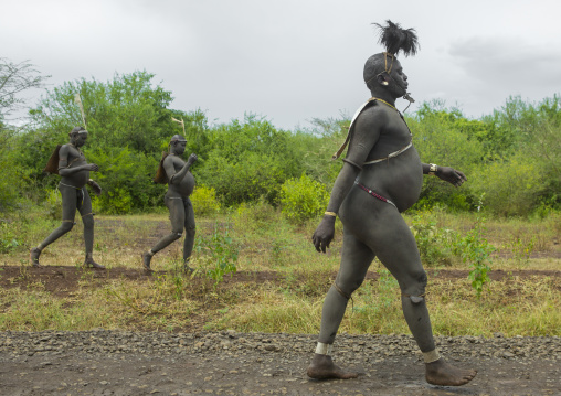 Bodi Tribe Fat Men Going To The Kael Ceremony, Hana Mursi, Omo Valley, Ethiopia