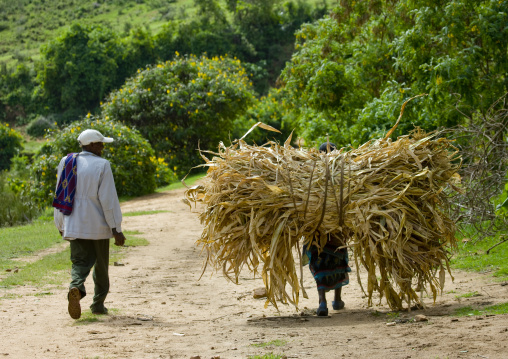Borana Tribe Woman Carrying A Huge Bale Of Fodder While Man Watching, Yabello, Omo Valley, Ethiopia