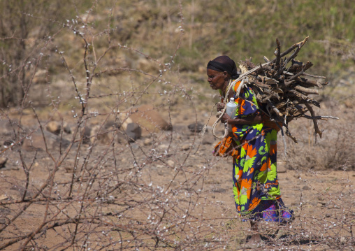 Old Woman Carrying Wood, Dire Dawa, Ethiopia