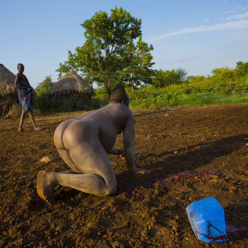 Bodi Tribe Man Drinking Cow Blood For New Year Kael Ceremony, Hana Mursi, Omo Valley, Ethiopia
