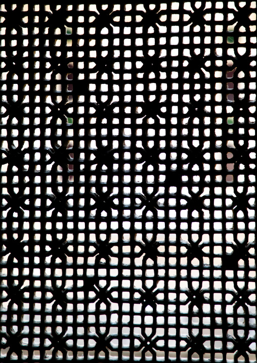 Jali window in the city palace, Rajasthan, Udaipur, India