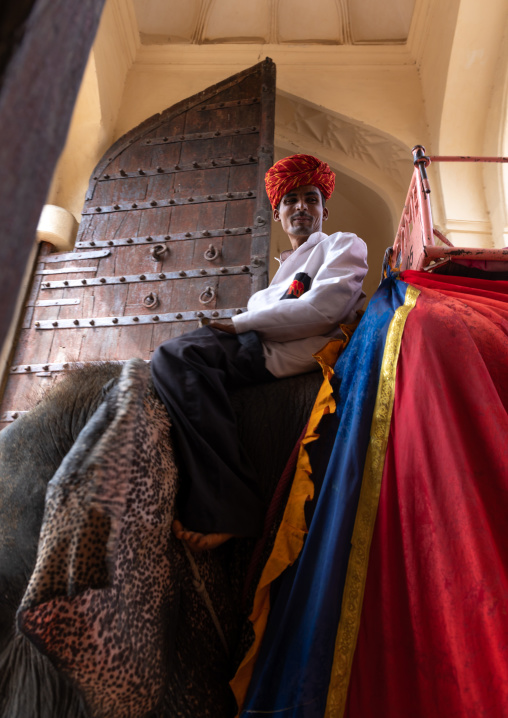 Elephant ride in Amer fort and palace, Rajasthan, Amer, India