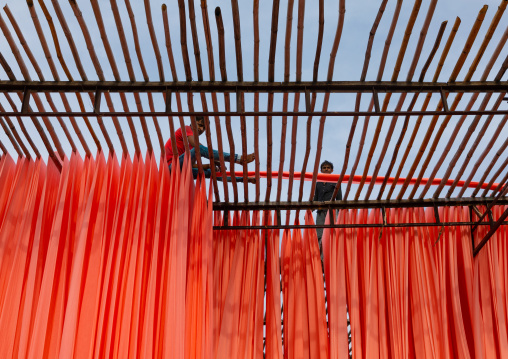 Indian workers drying orange sarees, Rajasthan, Sanganer, India