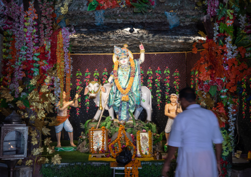 Indian man praying in a Giriraj dharan mandir, Rajasthan, Dausa, India