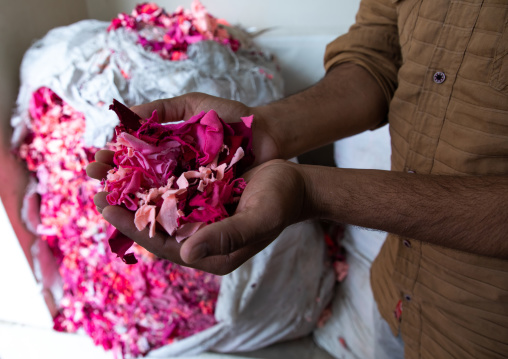 Indian man working in Salim's paper handmade paper factory, Rajasthan, Sanganer, India