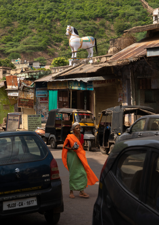 Statue of the horse ridden into battle by ummed singh, Rajasthan, Bundi, India