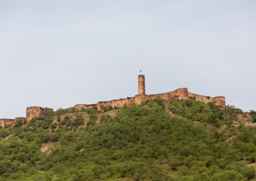 The long wall surrounding Amer fort, Rajasthan, Amer, India