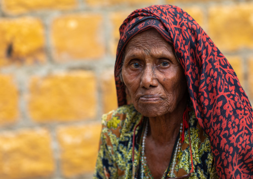 Portrait of a senior rajasthani woman in traditional sari, Rajasthan, Jaisalmer, India