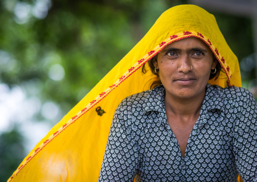 Portrait of rajasthani woman with a yellow sari, Rajasthan, Baswa, India