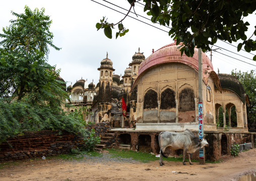 Ancient well with chhattris to provide shade to the women who collect water, Rajasthan, Nawalgarh, India