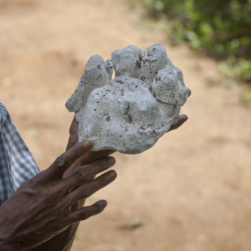 Modeling Of A Tiger Footprint, Periyar, India
