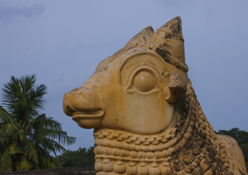 Nandi, The Mount Of Shiva At The Brihadishwara Temple, Gangaikondacholapuram, India