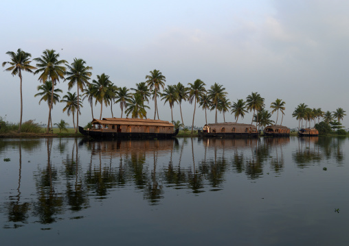 Houseboats Parked On The Banks Alongside Palm Trees
On Kerala Backwaters, Alleppey, India