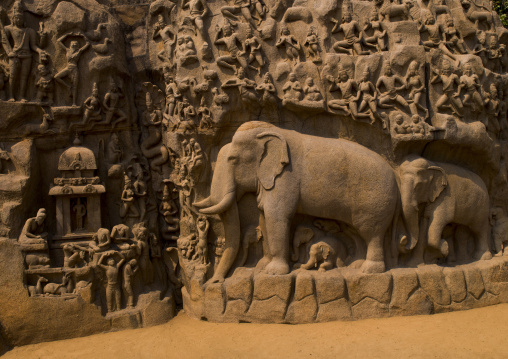 Carvings Of Elephants On Carved Wall Called Arjuna's Penance, Mahabalipuram, India