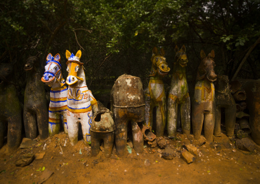 Terracotta Horses Lined Up By The Ayyanar Temple, Pudukkottai, India