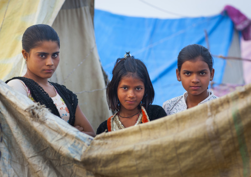 Camp For Pilgrims, Maha Kumbh Mela, Allahabad, India