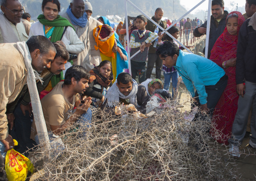 Naga Sadhu Covered With Spines, Maha Kumbh Mela, Allahabad, India