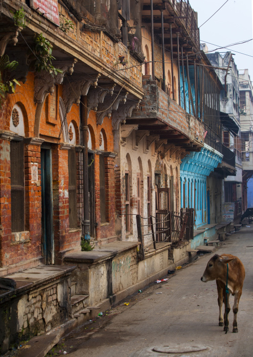 Varanasi, India