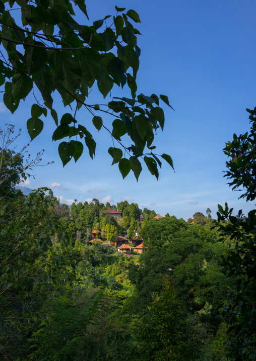 Puri Lumbung Cottages