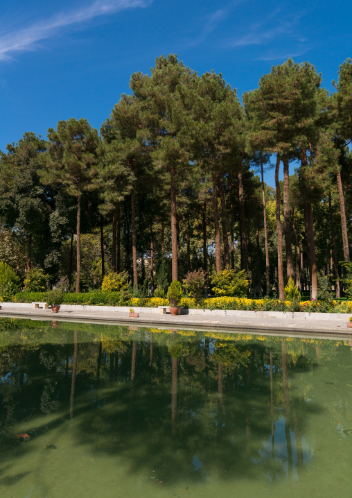 Chehel Sotoun garden, Isfahan Province, Isfahan, Iran