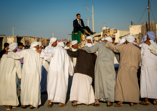 groom riding a camel during his wedding ceremony, Qeshm Island, Salakh, Iran