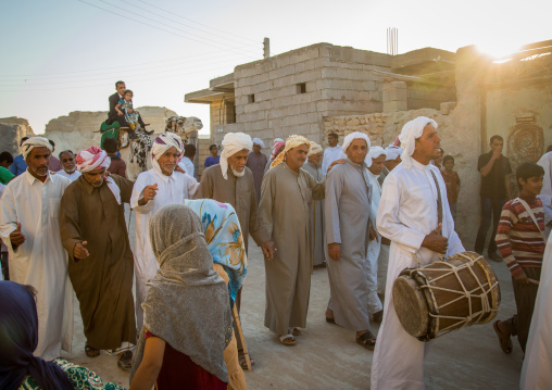 groom riding a camel during his wedding ceremony, Qeshm Island, Salakh, Iran