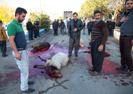 Shiite Muslim Men Standing In The Blood Of A Ritually Slaughtered Sheep On Ashura, The Day Of The Death Of Imam Hussein, Kurdistan Province, Bijar, Iran