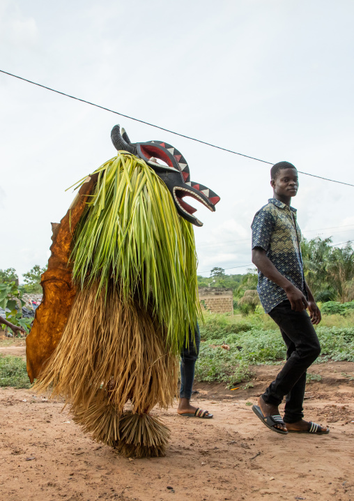 Goli sacred mask in Baule tribe arriving in a ceremony, Région des Lacs, Bomizanbo, Ivory Coast