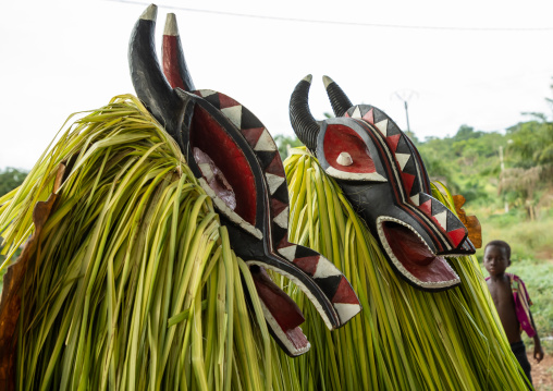 Goli sacred masks couple in Baule tribe during a ceremony, Région des Lacs, Bomizanbo, Ivory Coast