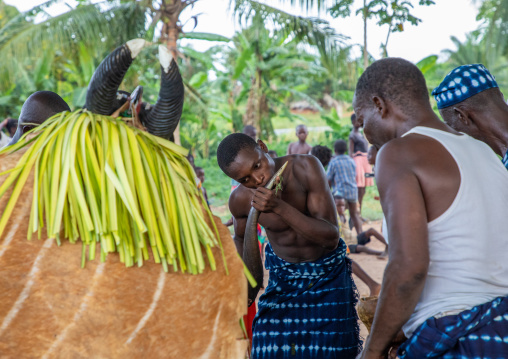 Goli sacred mask in Baule tribe during a ceremony, Région des Lacs, Bomizanbo, Ivory Coast