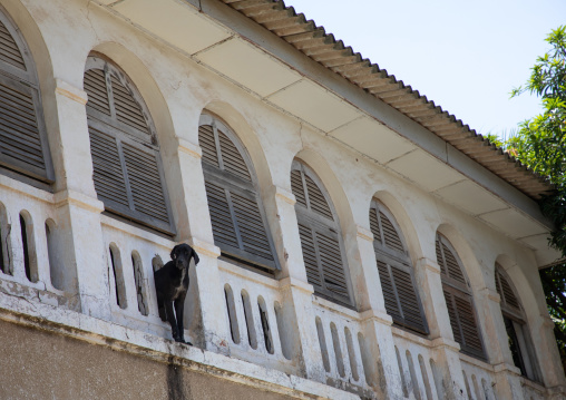 Old french colonial building in the UNESCO world heritage area, Sud-Comoé, Grand-Bassam, Ivory Coast