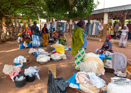 Senufo women selling clothes under a giant tree in a village, Savanes district, Waraniene, Ivory Coast