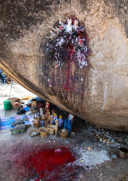 Senufo man making a sacrifice in an animist sanctuary, Savanes district, Shienlow, Ivory Coast