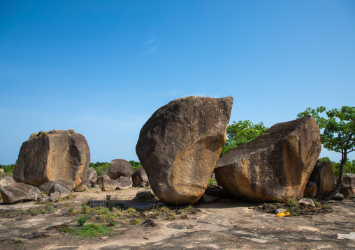 Animist sanctuary where animal sacrifices are made, Savanes district, Shienlow, Ivory Coast