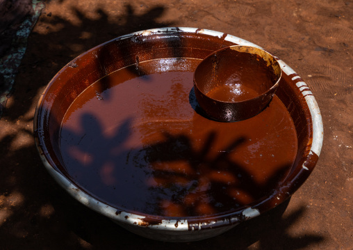 Shea butter or karite factory, Savanes district, Tcheregnimin, Ivory Coast