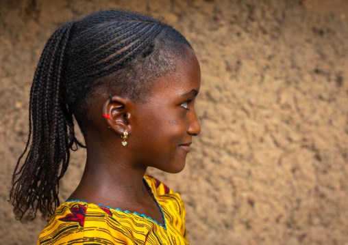 Portrait of a Peul tribe girl with braided hair, Savanes district, Boundiali, Ivory Coast